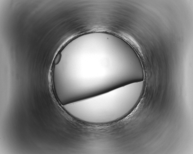 X0000094371190200711020747