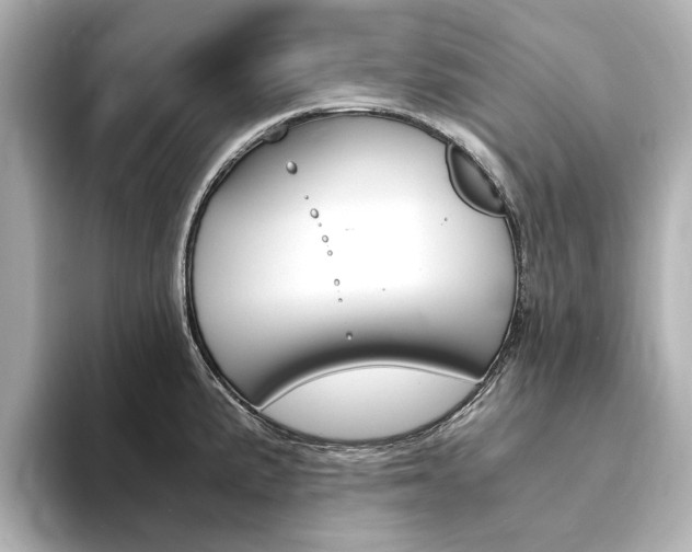 X0000094371191200711020747