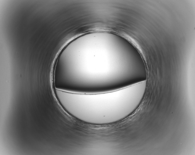 X0000094371195200711020747