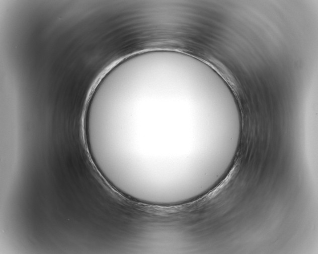 X0000094371196200711020747