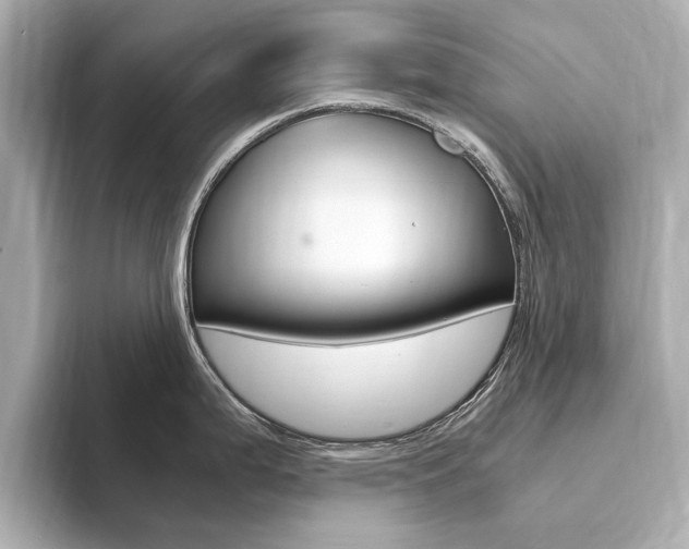 X0000094371199200711020747