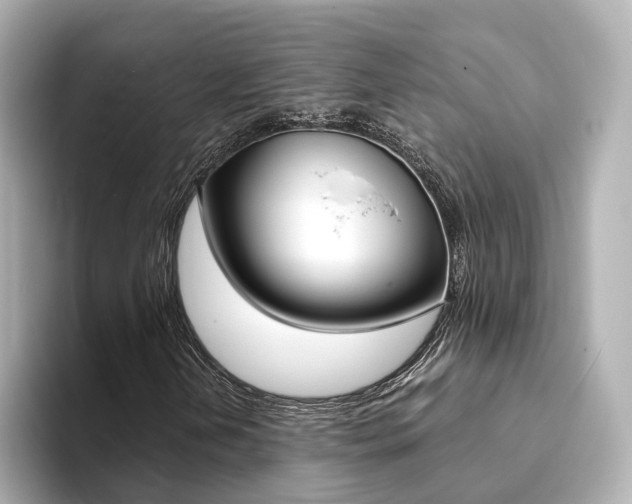 X0000094371202200711020746