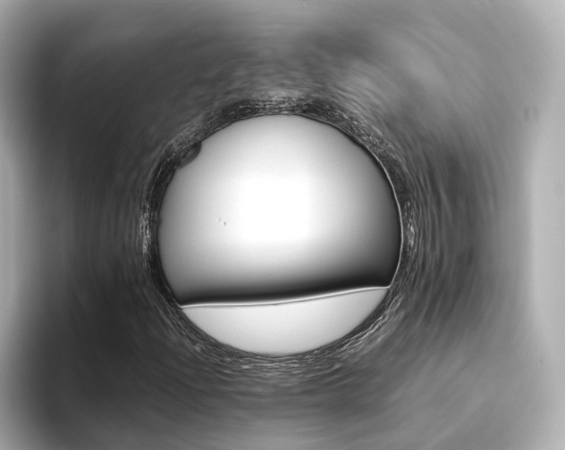 X0000094371204200711020746