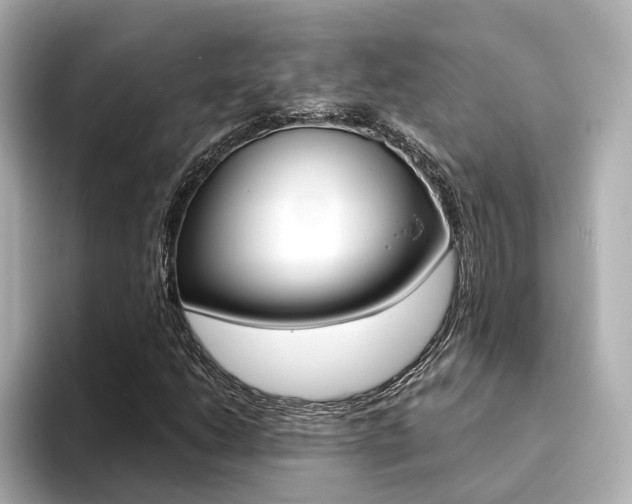 X0000094371206200711020746
