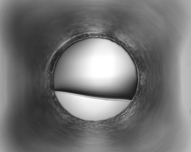 X0000094371208200711020746