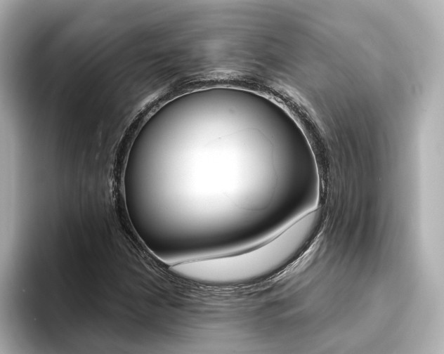 X0000094371210200711020746