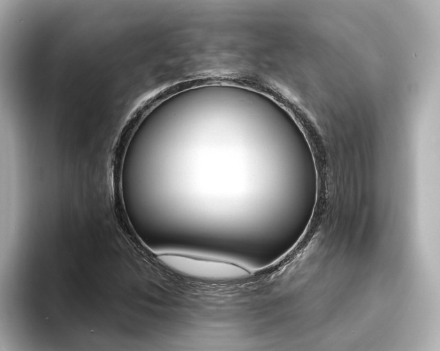 X0000094371214200711020746