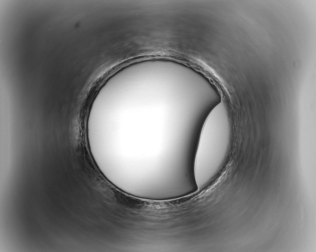 X0000094371215200711020746