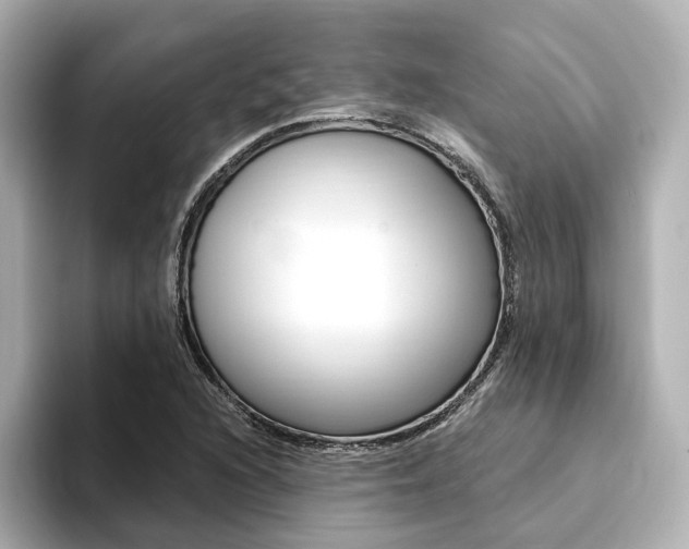 X0000094371216200711020746