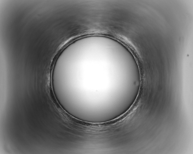 X0000094371220200711020746