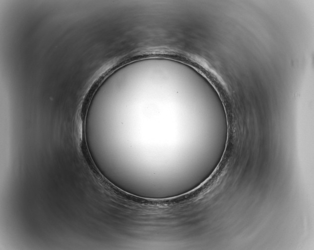 X0000094371221200711020746