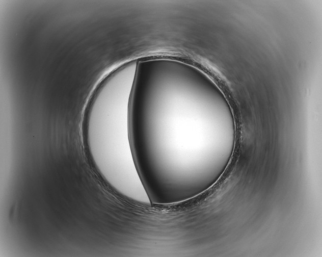 X0000094371222200711020746