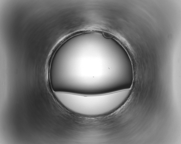 X0000094371224200711020746