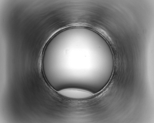 X0000094371228200711020747