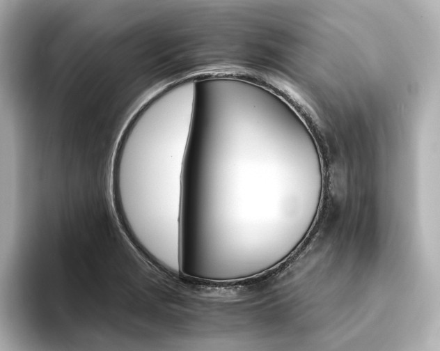 X0000094371229200711020747