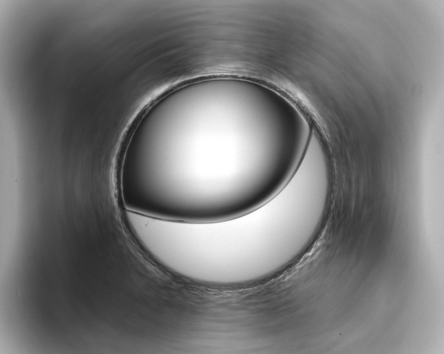X0000094371230200711020747