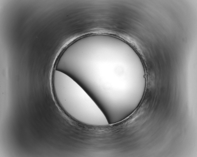X0000094371231200711020747