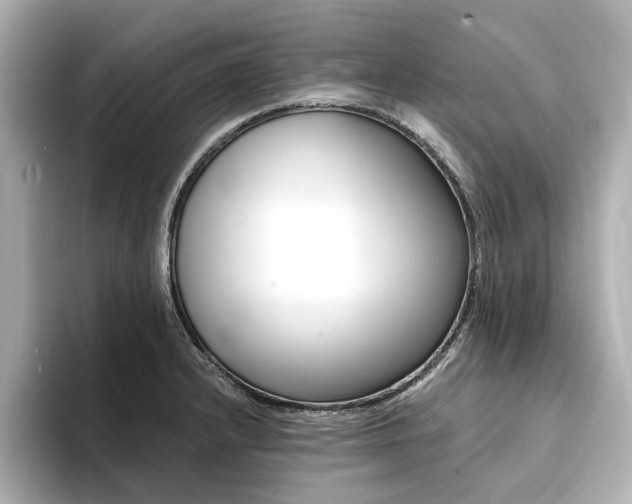 X0000094371232200711020747