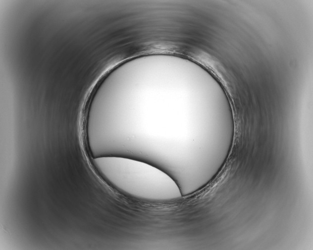 X0000094371235200711020747