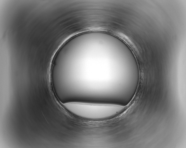 X0000094371236200711020747