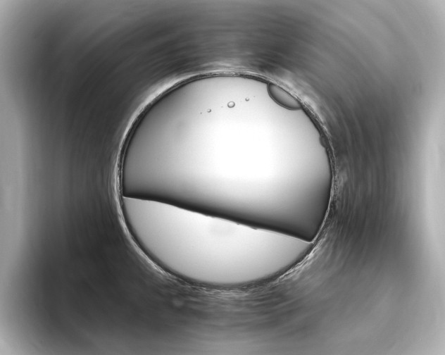X0000094371239200711020747