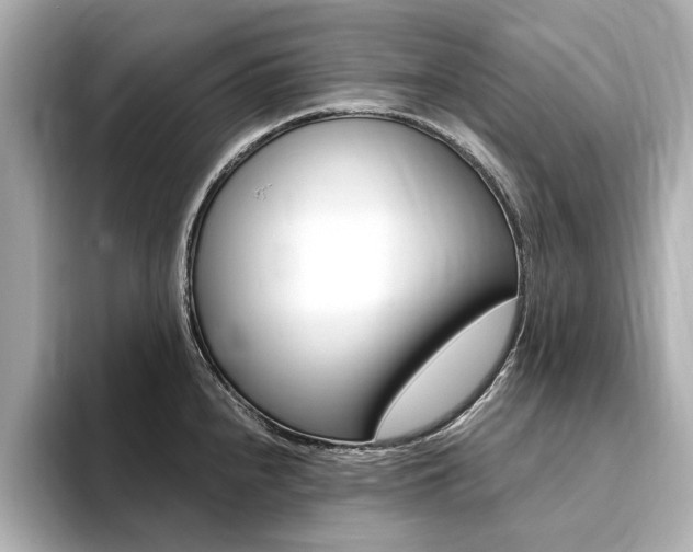 X0000094371240200711020747