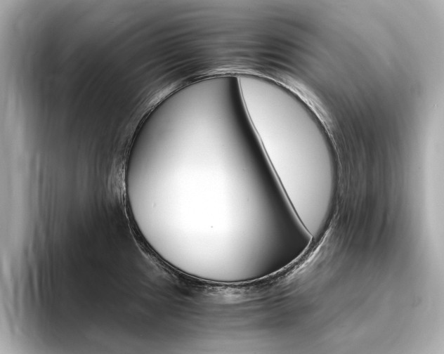 X0000094371241200711020747