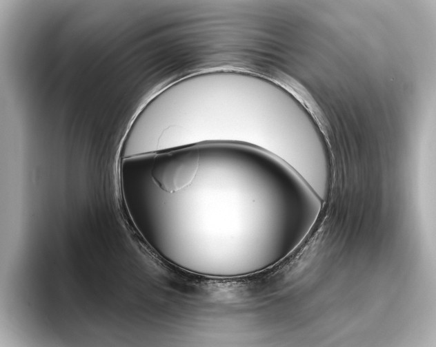 X0000094371242200711020747