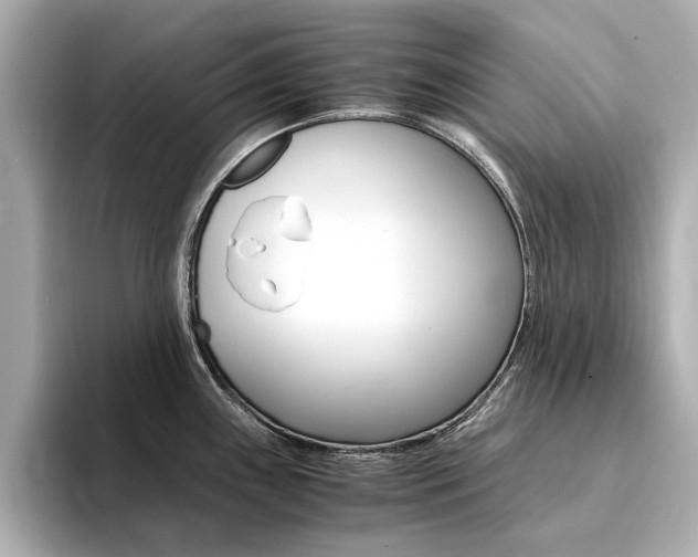 X0000094371243200711020747