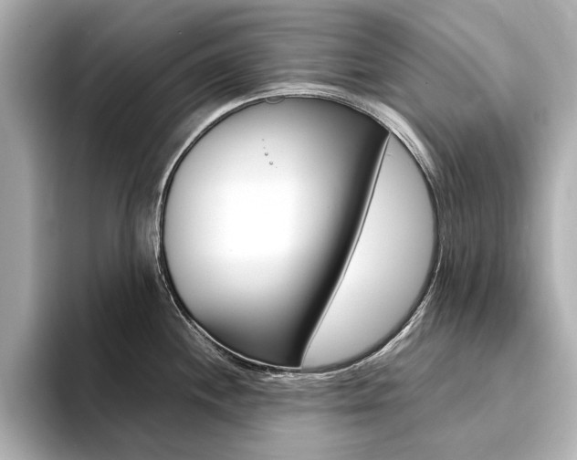 X0000094371244200711020747