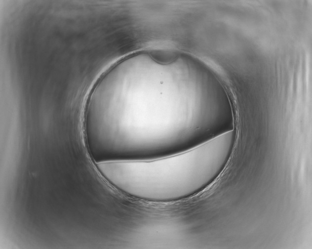 X0000094371248200711020747