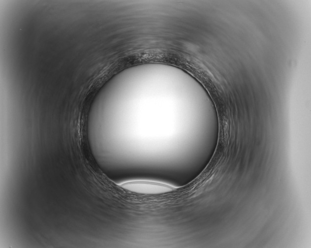 X0000094371250200711020746