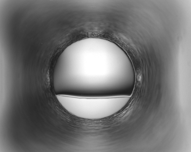 X0000094371252200711020746
