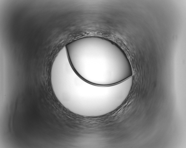 X0000094371253200711020746