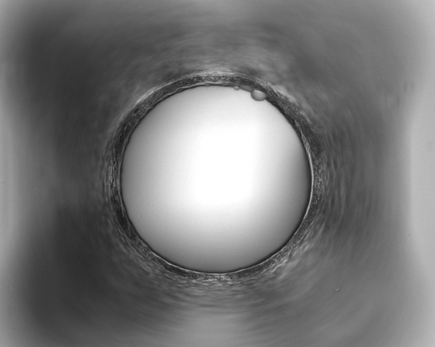 X0000094371255200711020746