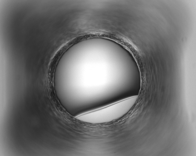 X0000094371256200711020746
