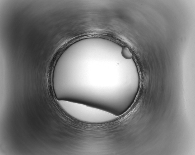 X0000094371259200711020746