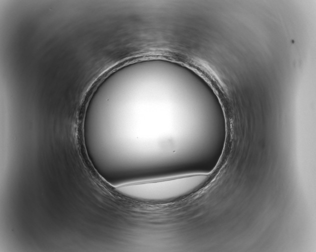 X0000094371260200711020746