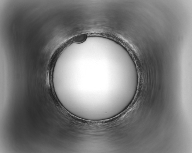 X0000094371262200711020746
