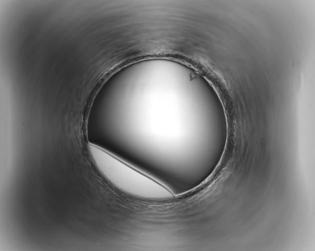 X0000094371265200711020746