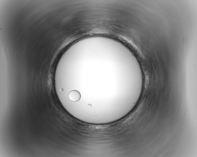 X0000094371266200711020746