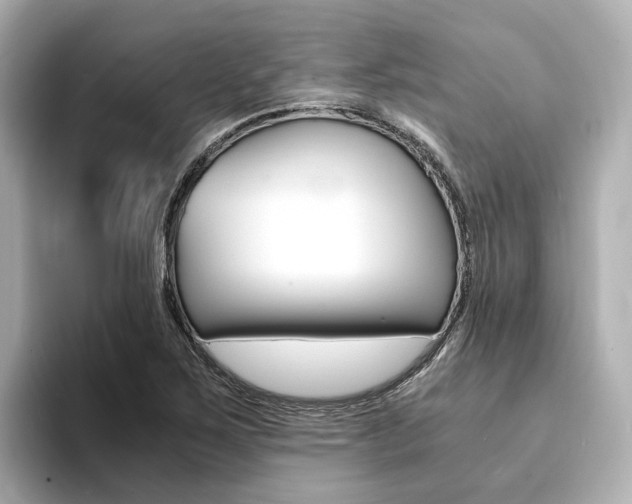X0000094371267200711020746