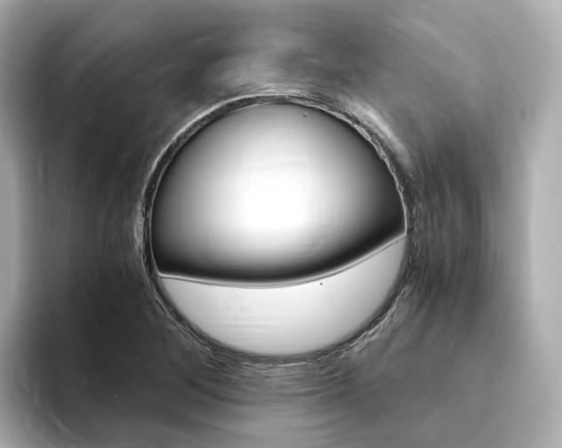 X0000094371268200711020746