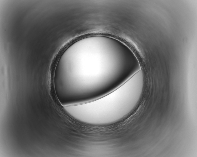 X0000094371270200711020746