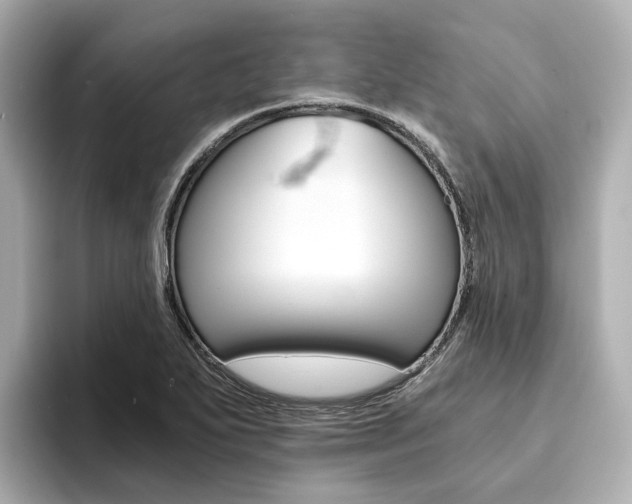X0000094371271200711020746