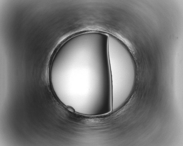 X0000094371272200711020746