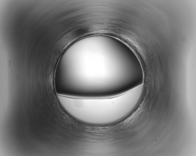 X0000094371273200711020746