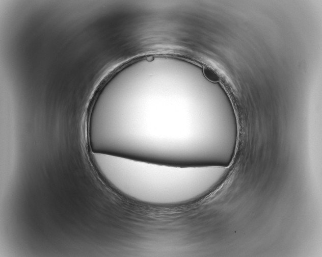 X0000094371275200711020746