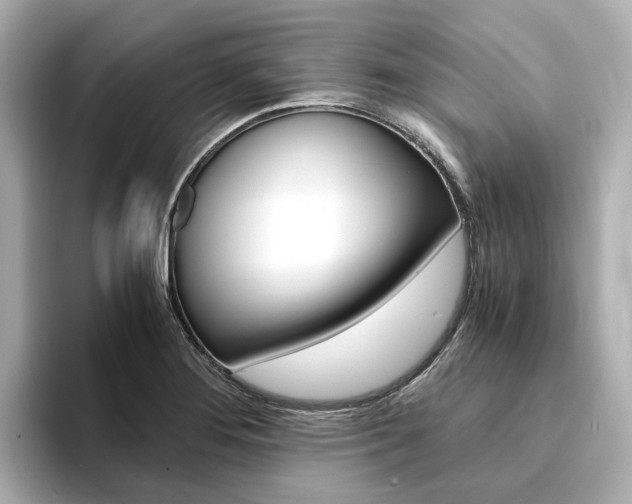 X0000094371276200711020746