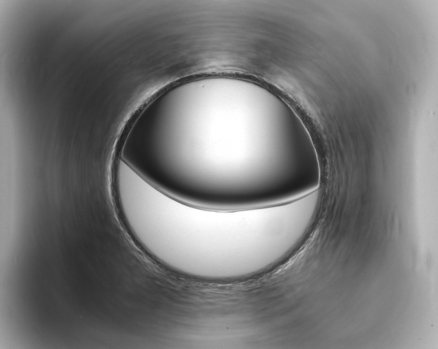 X0000094371277200711020746